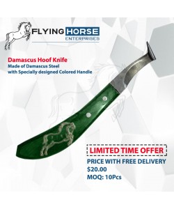 Damascus Hoof Knife